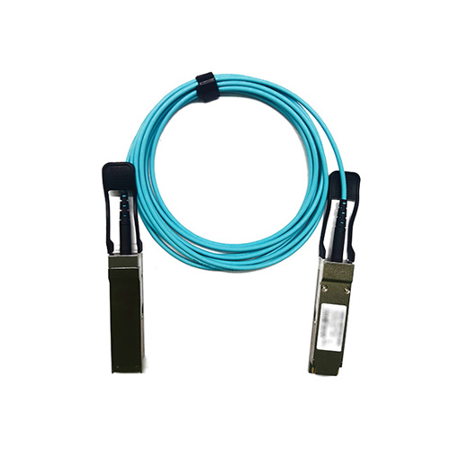 QSFP+ 100G to QSFP+ 100G AOC 01m